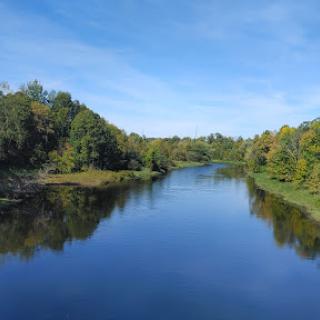 A serene river reflecting the clear blue sky and surrounded by lush greenery.
