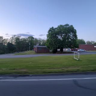 A serene evening view featuring a large tree and a building set against a clear sky.