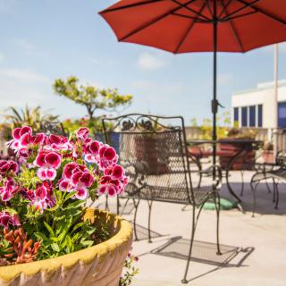 A sunny patio with colorful flowers and shaded seating.