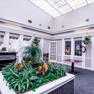 A bright interior space featuring a skylight, lush plants, and a piano.