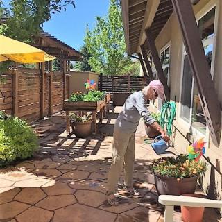 A person waters potted plants on a sunny patio.