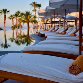 A serene poolside setting at a luxury resort, perfect for relaxation under the palms.