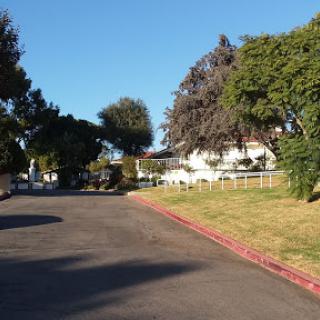 A peaceful road lined with trees on a sunny day.