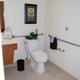 A clean and accessible bathroom featuring grab bars, a toilet with a plant on top, and a neatly arranged sink area.