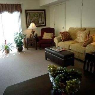 Cozy living room with a sofa and armchair, featuring decorative pillows, indoor plants, and warm lighting.