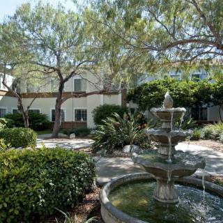 A tranquil garden setting featuring a multi-tiered fountain surrounded by lush greenery and trees.