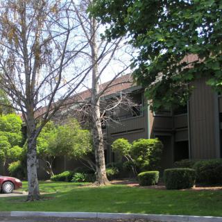 Suburban building surrounded by trees and greenery with a parked car.