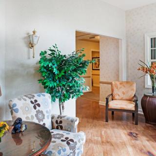 A cozy living room with floral chairs, a potted plant, and warm wooden flooring.