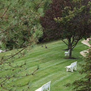 A serene garden setting with neatly mowed lawns, trees, and white benches.