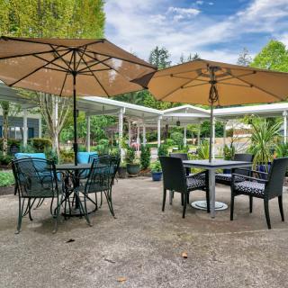 A cozy outdoor patio setup with tables, chairs, and umbrellas surrounded by lush greenery.