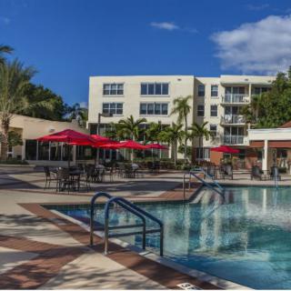 A sunny view of a resort with a swimming pool, surrounded by palm trees and outdoor seating.