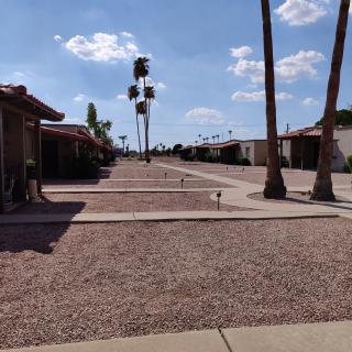 Albany Apartments