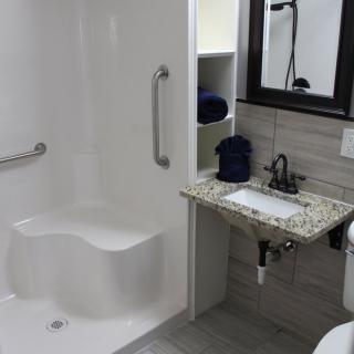 A modern bathroom with a shower, sink, and mirror.