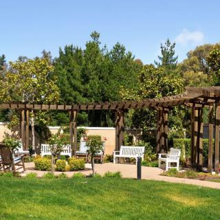 A serene garden area with a pergola and benches, surrounded by lush greenery on a sunny day.