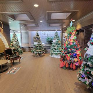 A beautifully decorated indoor space featuring multiple Christmas trees, showcasing festive colors and holiday spirit.