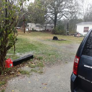 A view of a residential yard with a parked vehicle and surrounding trees.