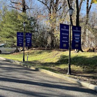 A sunny day showcasing blue signs along a road lined with trees.