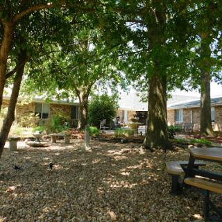 A serene outdoor space featuring lush trees and benches, perfect for relaxation.