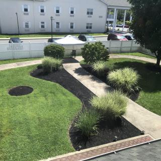 A beautifully landscaped garden with a winding pathway and various bushes and grasses.
