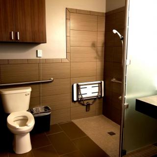 An accessible bathroom with a toilet, walk-in shower, and safety features.
