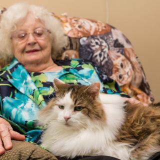 An elderly woman sitting comfortably with a fluffy cat on her lap.