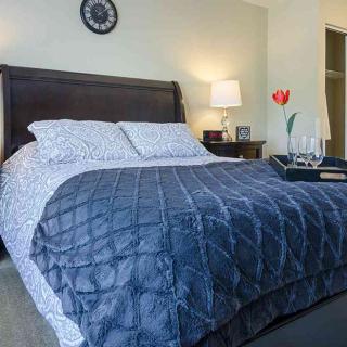 A well-decorated bedroom with a neatly made bed and side lamp.