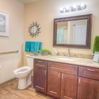 A well-decorated bathroom with a large mirror, wooden vanity, and decorative elements.