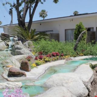 A beautifully landscaped garden with a water feature in front of a modern house.