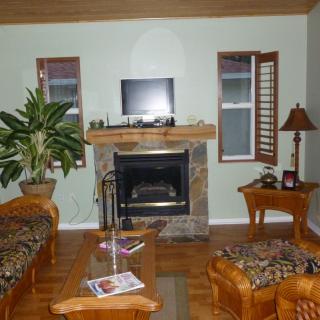 A cozy living room with a fireplace, television, and indoor plants.