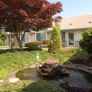 A serene garden with a small pond, surrounded by lush greenery and trees.