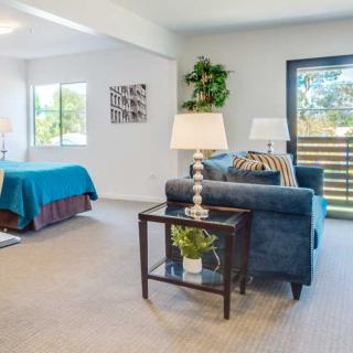 A bright, modern studio apartment with a cozy living and sleeping area.