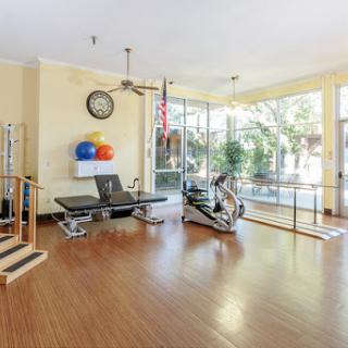 A bright and spacious gym area equipped with various exercise machines and fitness balls, perfect for workouts and rehabilitation.