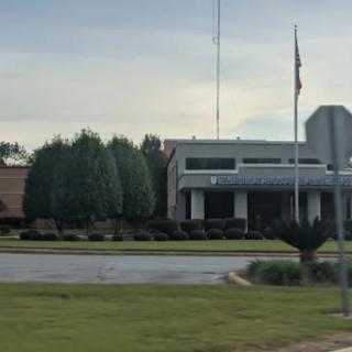 A building with a flagpole and surrounding trees on a cloudy day.
