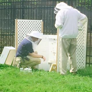 Two people in protective clothing tending to a beehive outdoors.