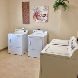 A laundry room with two washing machines and two dryers, decorated with artwork and a plant.