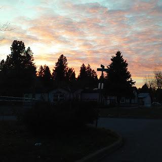 A beautiful sunset painting the sky with vibrant colors, silhouetted by tall trees.