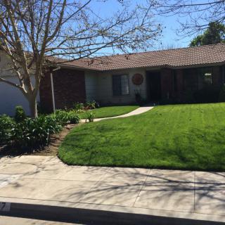 A suburban house with a well-maintained front lawn and a tree in the yard.