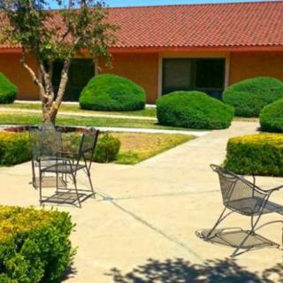 A peaceful courtyard with patio chairs and manicured shrubs on a sunny day.