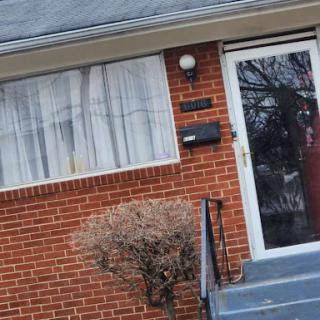 A view of a cozy brick house with curtains in the window and a small bush in front.