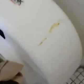 A stained toilet surface in a bathroom setting.