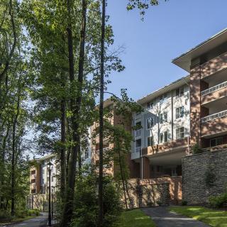 Modern apartment buildings surrounded by tall trees.