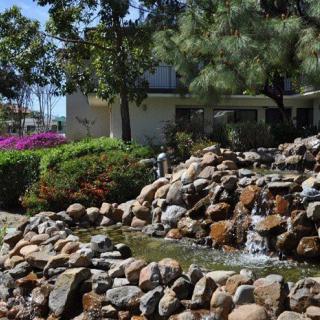 A serene garden scene featuring a small waterfall cascading over rocks, surrounded by lush foliage and trees.
