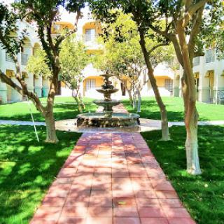 A serene courtyard featuring a fountain surrounded by lush greenery and a paved pathway.