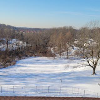A serene winter landscape blanketed in snow under a clear blue sky.