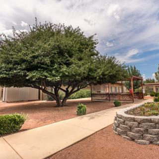 A serene backyard garden with a large tree, surrounded by a pathway and stone landscaping.