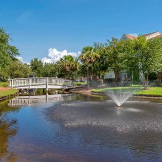 A serene park scene featuring a pond with a fountain and a small bridge amidst lush greenery.