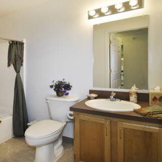 A modern bathroom featuring a sink with a wooden cabinet, a toilet, and a shower with a curtain, illuminated by overhead lighting.