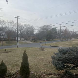 A suburban neighborhood on an overcast day with power lines and trees lining the street.