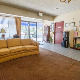 A cozy living room featuring a yellow sofa and large windows with curtains.