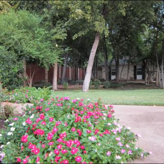A tranquil garden scene featuring vibrant flowers and lush greenery.